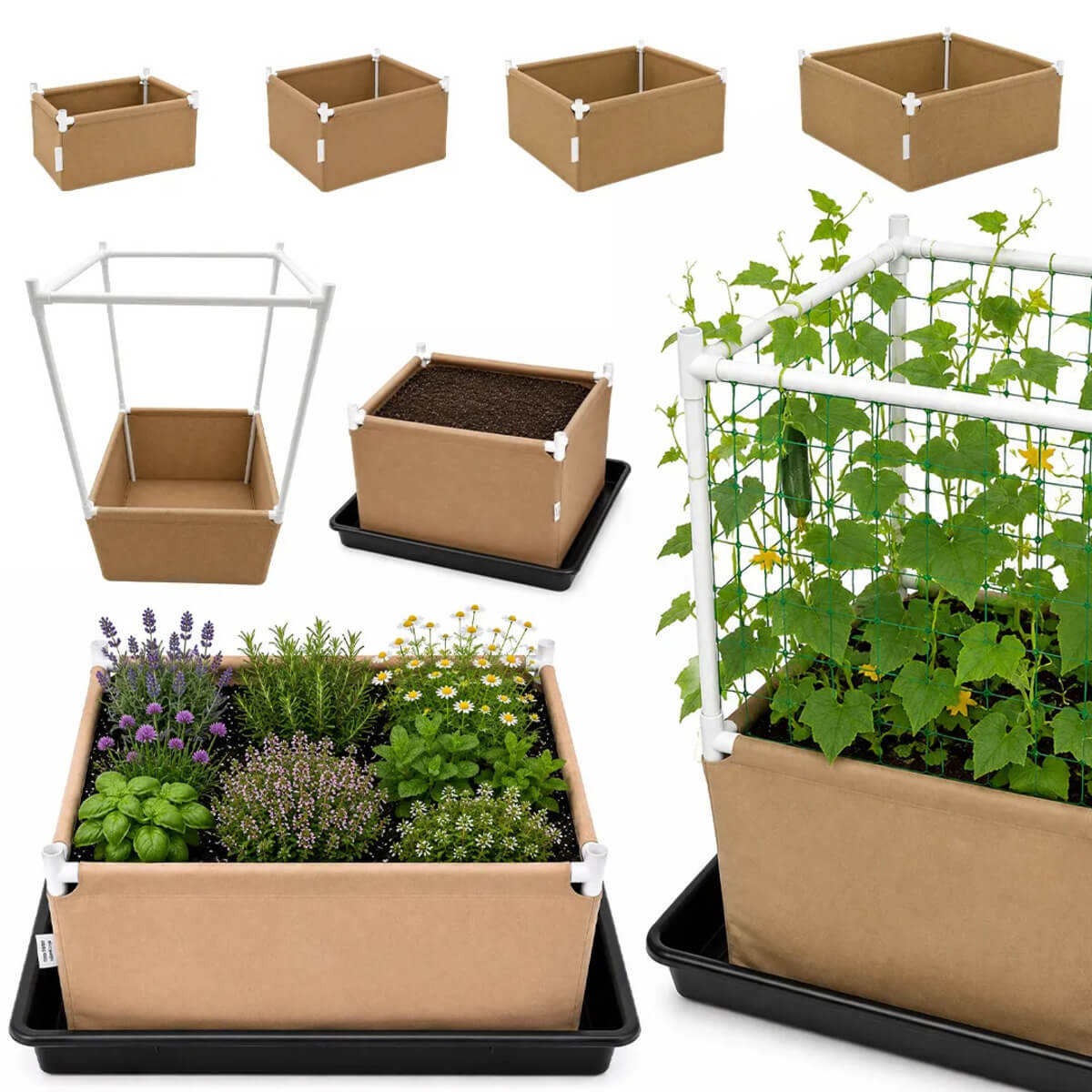 Ejemplos de combinaciones Grow Bed Neptune
